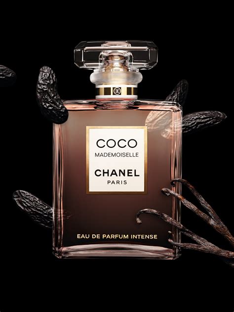 coco perfume by chanel|Coco Chanel where to buy.